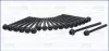 Комплект болтів ГБЦ AUDI Q7 PORSCHE CAYENNE SKODA SUPERB II VW ATLAS, CC B7, EOS, PASSAT B6, PASSAT B7, PHAETON, TOUAREG 3.2/3.6 10.05 AJUSA (81044000) зображення 1