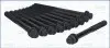Фото Комплект болтів ГБЦ OPEL AGILA B SUZUKI BALENO, ERTIGA, IGNIS III, JIMNY, SPLASH, SWIFT III, SWIFT IV, SWIFT V 1.2-1.5 01.08 AJUSA (81045300) зображення 1