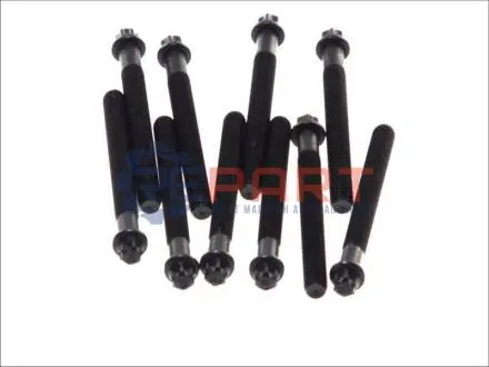 Комплект болтів ГБЦ VOLVO 440, 460, S40 I, V40 MITSUBISHI CARISMA, SPACE STAR NISSAN PRIMASTAR OPEL ARENA, MOVANO A, VIVARO A RENAULT 19 I CHAMADE, 19 II, 19 II CHAMADE, CLIO II 1.9D 09.90 AMC 258095