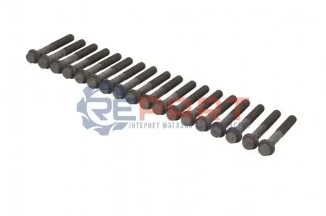 Болт головки блока AMC 258519 Купити в Україні