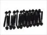 Комплект болтов ГБЦ CITROEN JUMPER I, XM PEUGEOT 605, BOXER 2.5D 03.94-04.02 AMC (258530) изображение 1