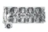 Фото Головка блоку циліндрів Isuzu D-Max 2.5/3.0 DiTD/CRDi 07-18 AMC (908350) зображення 1