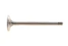 Клапан (випуск) VW LT 2.4D -96 (31.2x8x104.6) (азотований) AMP (PAUD011A0N) зображення 1