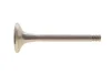 Клапан (випуск) Audi 100/80//A4/A6/VW Caddy/Golf/Passat 1.6-2.0 (33.2x8x91.2) (азотований) AMP (PAUD024-A-0-N) зображення 1