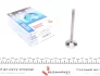 Впускной клапан AMP (PAUD031-S-0-N) изображение 1