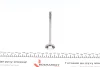 Клапан выпускной AMP (PAUD059B0N) изображение 5