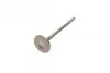 Фото Клапан ГРМ DAEWOO CHEVROLET/AVEO/(T200/T255)/LACETTI(200)/NEXIA/CRUZE 1,6 DOHC выпуск. (азотированны AMP (PCHE008A0N) изображение 5