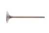Фото Клапан (впуск) Chevrolet Aveo/Kalos/Matiz/Daewoo Damas/Matiz/Tico 0.8-1.2 AMP (PDAE013-S-0-N) изображение 1