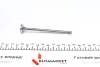Клапан (впуск) Fiat Doblo 1.3JTD 16V 04-10 (22x6x109.3) (хромування) AMP (PFIA153S0N) зображення 3