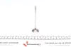 Клапан (випуск) Renault Clio/Kangoo/Twingo 1.2 96- (29.9x6x106.8) (вальцювання) AMP (PREN027-A-0-D) зображення 5