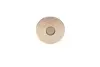 Фото Клапан (випуск) Renault Kangoo 1.9 97- (31,5x8x110) (азотовані) AMP (PREN032-B-0-D) зображення 3