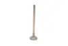 Фото Впускной клапан AMP (PVWG133S0N) изображение 2