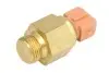 Автозапчастина ANAC MAKINA (70137400AN) зображення 1