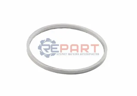 Уплотнитель выхлопной системы F20 AND 3M253001 Купить в Украине