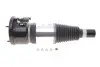 Arnott Амортизатор воздушный. передний Air Strut 14--> Porsche Macan (95B) 95B616039 ARNOTT (AS-3351) изображение 1