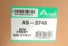 Фото Амортизатор ARNOTT (AS-3748) изображение 2