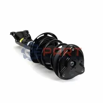 Автозапчасть ARNOTT SK3889