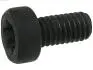 Болт з головкою системи TORX з чорного металу SP3022S(BULK)