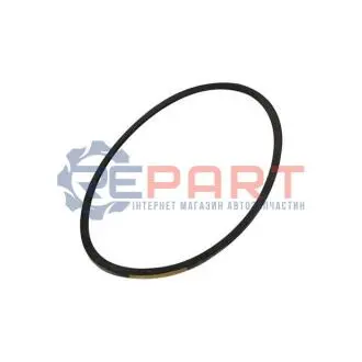 Пасок клиновидний 10X1175 ASAM 00047 Купити в Україні