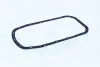 Фото Прокладка піддону Renault Clio/Kangoo/Twingo 96 ASAM (55022) зображення 1