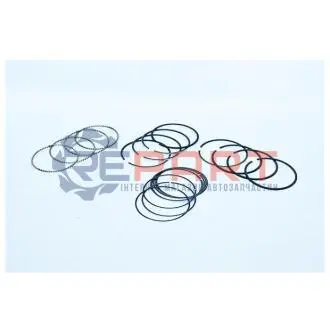 DACIA Комплект поршневых колец LOGAN 1.4 04-, NISSAN KUBISTAR 1.6 16V 03-09, RENAULT CLIO III 1.4 16V 05-12 ASAM 55838 Купить в Украине