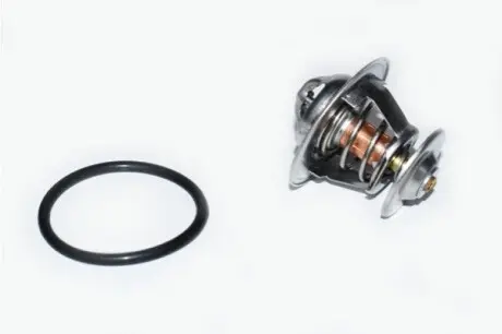 Термостат VW T5 1.9TDI ASAM 73314 Купити в Україні