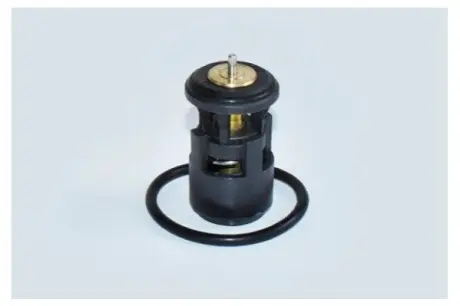 Фото Термостат VW GOLF V ASAM (73343) изображение 1