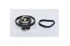 Фото Термостат Ford Fusion/Fiesta IV-VI/Focus I-III 1.2-1.6 95- (82˚C) ASAM (73379) зображення 1