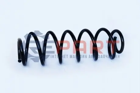 Фото Пружина задня Octavia/Bora/Golf 96-05 ASAM (73749) зображення 1