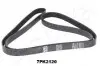 Фото Ремінь генератора Land Rover/Toyota Land Cruiser 120 4.0i/4.6 94 ASHIKA (1127PK2120) зображення 1