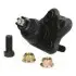 Опора кульова (передня/знизу) Toyota Corolla 1.3-2.0 97-/Rav 4 II 1.8-2.0 00 ASHIKA (7302210) зображення 1