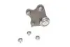 Фото Опора кульова (передня/знизу/R) Audi A1 10-/Seat Ibiza 02-15/Toledo 12-/Skoda Fabia 14-/VW Polo 01 ASMETAL (10AU1201) зображення 2