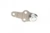 Фото Опора кульова (передня/знизу) Ford Fiesta III/IV 89-03/Ka 96-08/Puma/Mazda 121 III 96-03 (d=16.5mm) ASMETAL (10FR1201) зображення 2