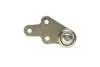 Фото Кульова опора (шарнір) (передня/знизу/R) Ford Kuga I 2.0TDCi/2.5 08 ASMETAL (10FR1781) зображення 3