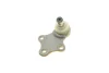 Фото Опора кульова (передня) Peugeot 306 93-02 (d=18mm) ASMETAL (10PE1002) зображення 5
