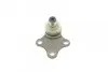 Фото Опора кульова (передня/знизу) Citroen Berlingo/Xsara/Peugeot Partner 96-08 (d=18mm) ASMETAL (10PE1100) зображення 5