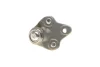 Фото Опора кульова (передня/знизу) Toyota Corolla 1.3-2.0 97-/Rav 4 II 1.8-2.0 00 ASMETAL (10TY0206) зображення 3