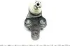 Фото Опора кульова (передня/знизу/R) Lexus RX 03-08/Toyota Camry 01-11 ASMETAL (10TY1011) зображення 2