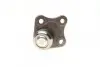 Фото Опора кульова (передня/знизу/R) Audi A3/Seat Toledo/Leon/Skoda Octavia/VW Golf IV 96-10 ASMETAL (10VW1501) зображення 3