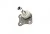 Фото Опора кульова (передня/знизу/L) Audi A3/Seat Toledo/Leon/Skoda Octavia/VW Golf IV 96-10 ASMETAL (10VW1502) зображення 4