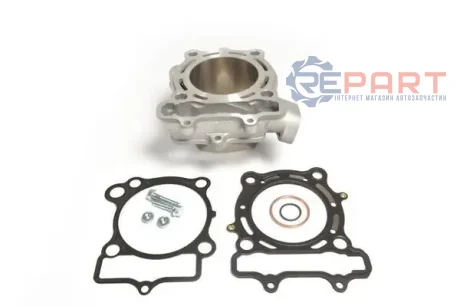 Циліндр (250 см³, 4T, з прокладками) SUZUKI RM-Z 250 2007-2009 ATHENA EC510009