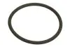 Прокладка головки ATHENA (M753504220094) изображение 2
