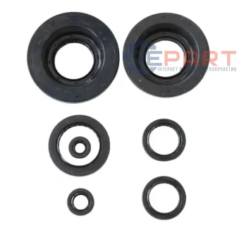 Комплект ущільнень HONDA MUV, PIONEER, TRX 680/700 2006-2022 ATHENA P400210400199