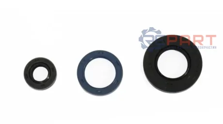 Комплект ущільнень KAWASAKI KLF 250 2003-2011 ATHENA P400250400017