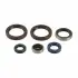 Ущільнення двигуна, комплект HUSABERG TE HUSQVARNA TC, TE KTM EGS, EXC, MXC, SX, XC, XC-W 125-200 1984-2016 ATHENA (P400270400015) зображення 1