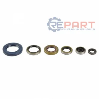 Комплект ущільнень двигуна GAS GAS MC HUSQVARNA TC KTM SX, XC 65 2009 ATHENA P400270400047