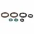 Комплект ущільнень двигуна KTM EXC, EXC-F, XC-W 400/450/530 2008-2011 ATHENA (P400270400055) зображення 1
