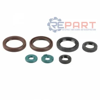 Комплект ущільнень двигуна KTM EXC, EXC-F, XC-W 400/450/530 2008-2011 ATHENA P400270400055