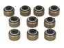 Сальник клапана 10шт SUZUKI DR, GN, GR, GS, LS, SP, VS 400-1400 1977-2011 ATHENA (P400510420502) зображення 1