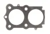 Прокладка ГБЦ KAWASAKI GPZ 1100 1983-1985 ATHENA (S410250001076) зображення 1